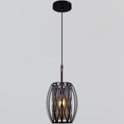 Люстра подвес Reluce 40W Е27 металл/стекло черный 06004-0.9-01 BK