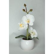 Светильник СТАРТ LED Орхидея 1 мал белый