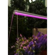 Светильник ФИТО ФитоЛето 11W (11Мкм/С) 572мм фиолетовый