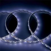 Лента General 12V 14.4W/m 60led/m IP65 6500K (уп.5м)