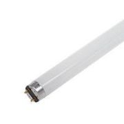 Лампа люм. G13 L36W/765 1200х26 OSRAM