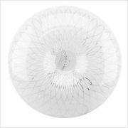 Светильник LEEK 30W(2100lm) 6000K круг Лилия