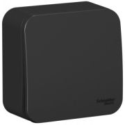 Переключатель ОУ 1-кл 10А с изол. пласт. Бланка проходной антрацит