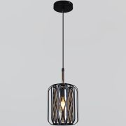 Люстра подвес Reluce 40W Е27 металл/стекло черный 06003-0.9-01 BK