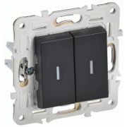 Выключатель СУ 2-кл. с инд 10А SK-V09Bl черный SKANDY ИЭК